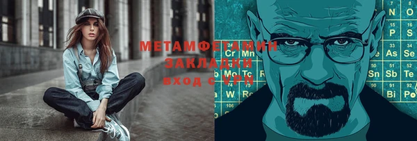 сатива Новозыбков