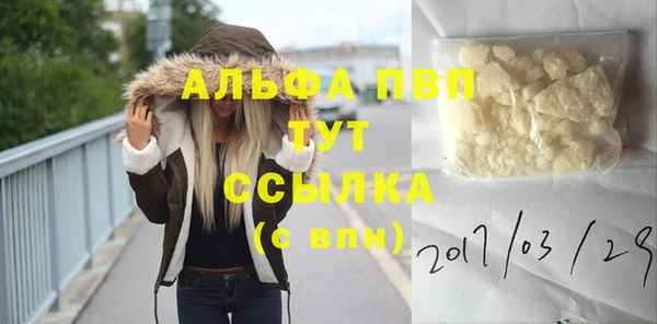 mdpv Новодвинск