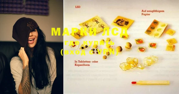 сатива Новозыбков