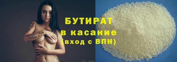 сатива Новозыбков