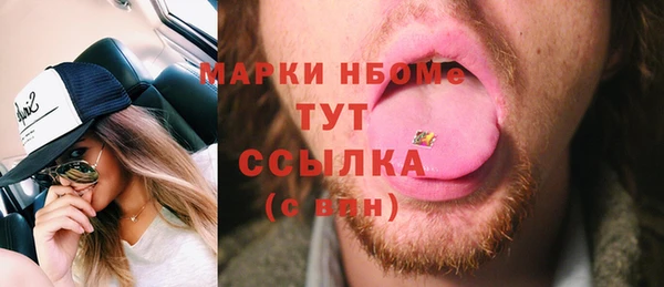 сатива Новозыбков